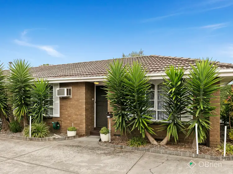 Main view of Homely unit listing, 13/17a Judd Parade, Cheltenham VIC 3192