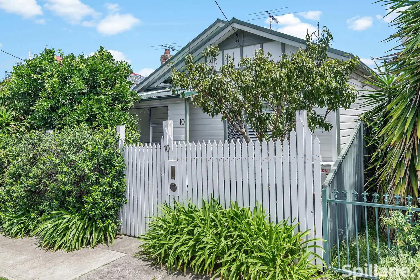 Main view of Homely house listing, 10 Elizabeth Street, Mayfield NSW 2304