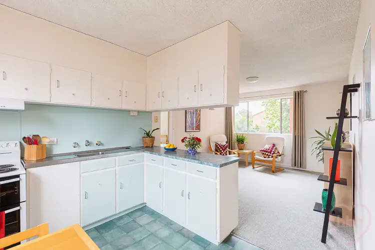Second view of Homely apartment listing, 4/127 Rivett Street, Hackett ACT 2602