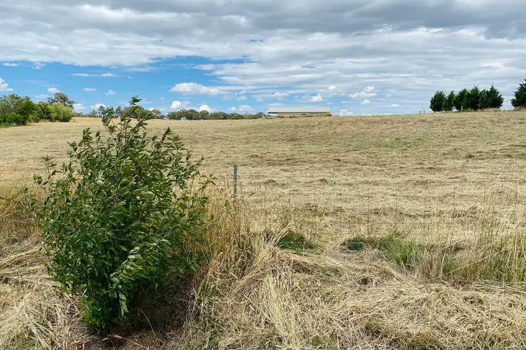 Main view of Homely land listing, 105 Charles Booth Way, Millthorpe NSW 2798