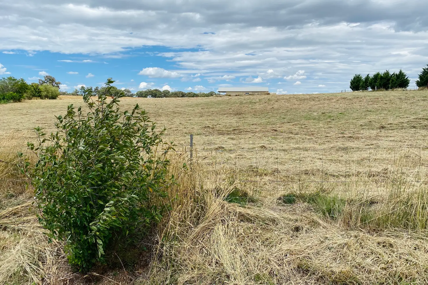 Main view of Homely land listing, 105 Charles Booth Way, Millthorpe NSW 2798