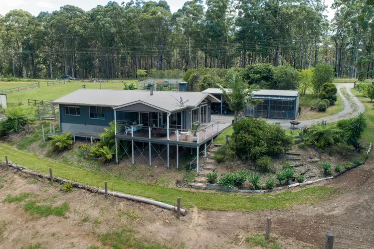 Main view of Homely rural property listing, 508 Monkey Mountain Road, Morton NSW 2538