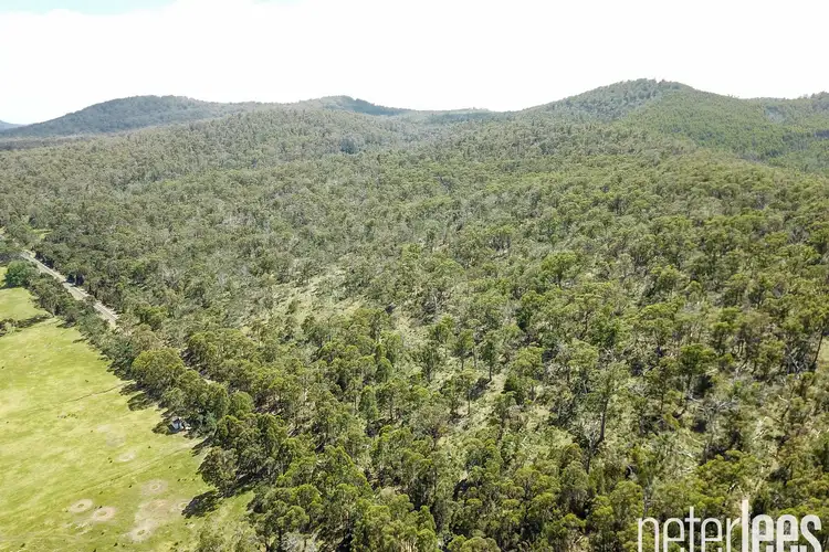 Second view of Homely land listing, 17 Jollys Road, Dilston TAS 7252