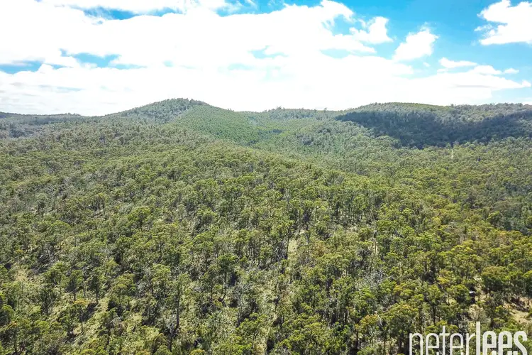 Third view of Homely land listing, 17 Jollys Road, Dilston TAS 7252