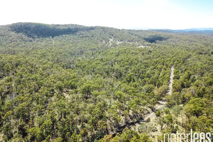 Fifth view of Homely land listing, 17 Jollys Road, Dilston TAS 7252
