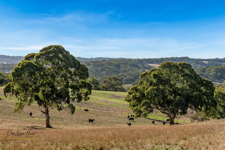 Main view of Homely rural property listing, 290 Gemmell Road, Macclesfield SA 5153
