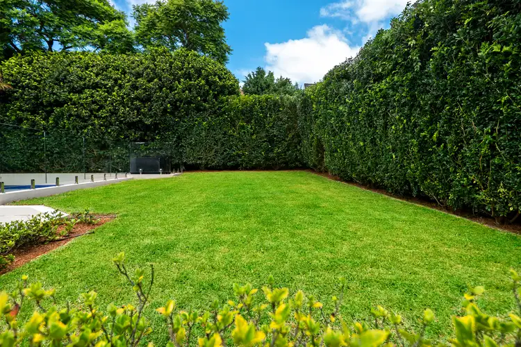 Sixth view of Homely house listing, 43 Macmillan Street, Seaforth NSW 2092