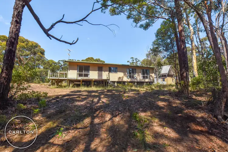Sixth view of Homely house listing, 8 Banksia Street, Hill Top NSW 2575