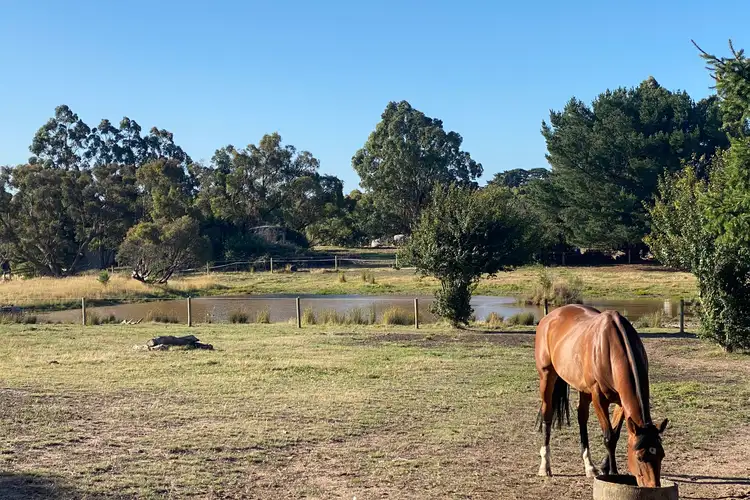Sixth view of Homely rural property listing, 638 Buninyong-Mount Mercer Road, Durham Lead VIC 3352