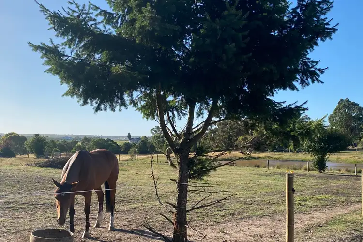 Seventh view of Homely rural property listing, 638 Buninyong-Mount Mercer Road, Durham Lead VIC 3352