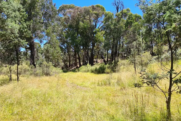 Fifth view of Homely rural property listing, 2108 Campbells Creek Road, Mudgee NSW 2850