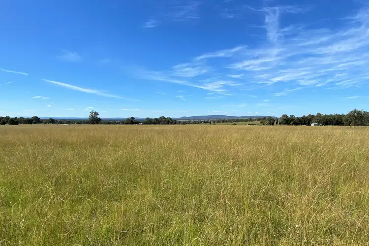 Main view of Homely rural property listing, 195 Lowes Peak Road, Mudgee NSW 2850
