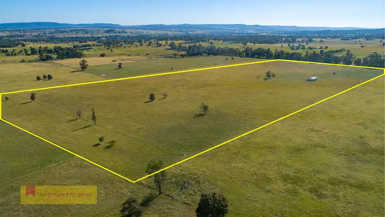 Third view of Homely rural property listing, 195 Lowes Peak Road, Mudgee NSW 2850