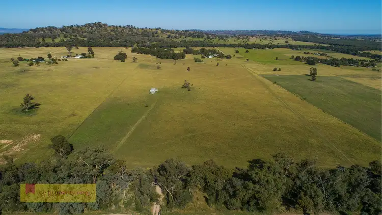 Sixth view of Homely rural property listing, 195 Lowes Peak Road, Mudgee NSW 2850