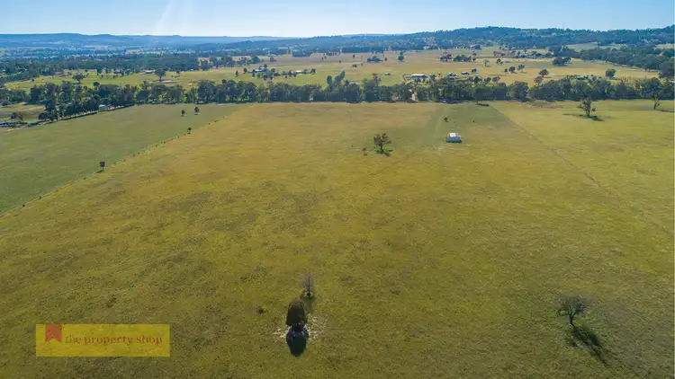 Seventh view of Homely rural property listing, 195 Lowes Peak Road, Mudgee NSW 2850