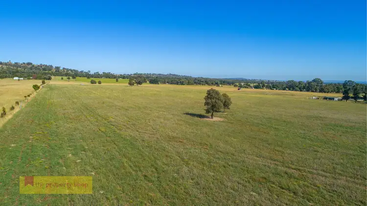 219 Lowes Peak Road, Mudgee NSW 2850