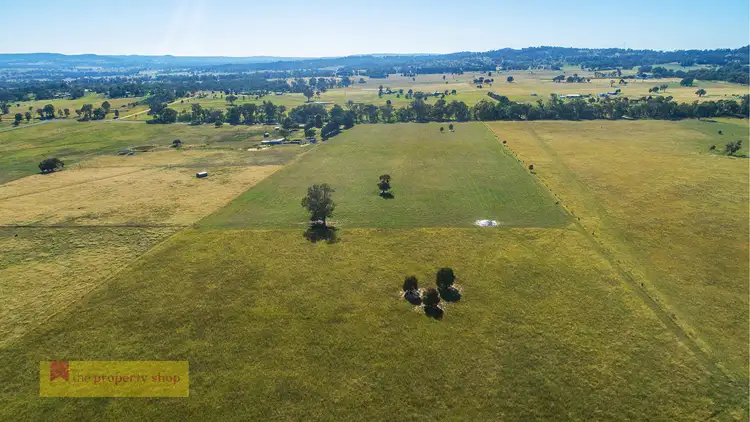 Third view of Homely rural property listing, 219 Lowes Peak Road, Mudgee NSW 2850