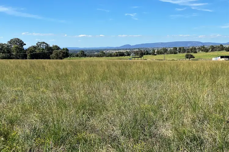 Fifth view of Homely rural property listing, 219 Lowes Peak Road, Mudgee NSW 2850