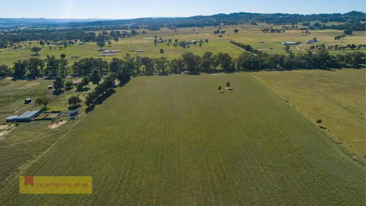 Seventh view of Homely rural property listing, 219 Lowes Peak Road, Mudgee NSW 2850