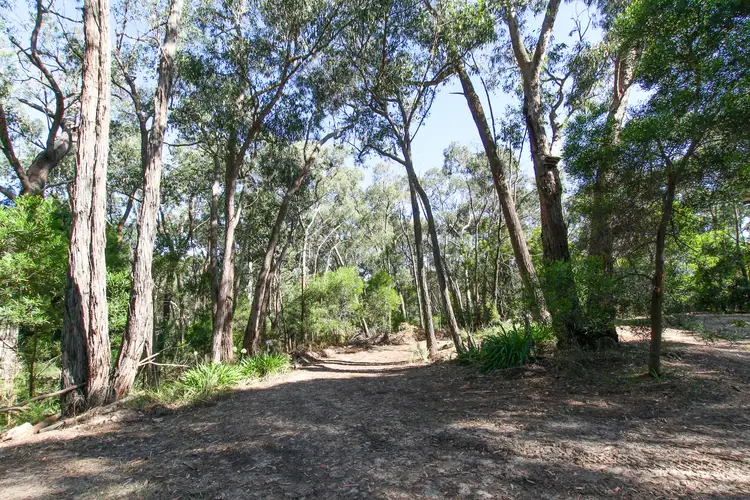 Second view of Homely rural property listing, 19 Juliet Avenue, Healesville VIC 3777