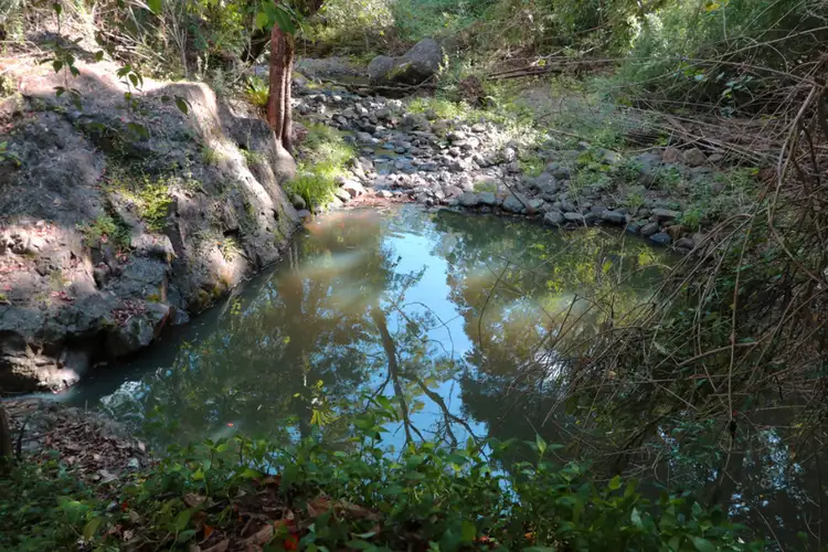 Fourth view of Homely house listing, 270 Bishops Creek Road, Coffee Camp NSW 2480