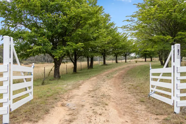 Second view of Homely rural property listing, 87 Rhinefalls Road, Cooma NSW 2630