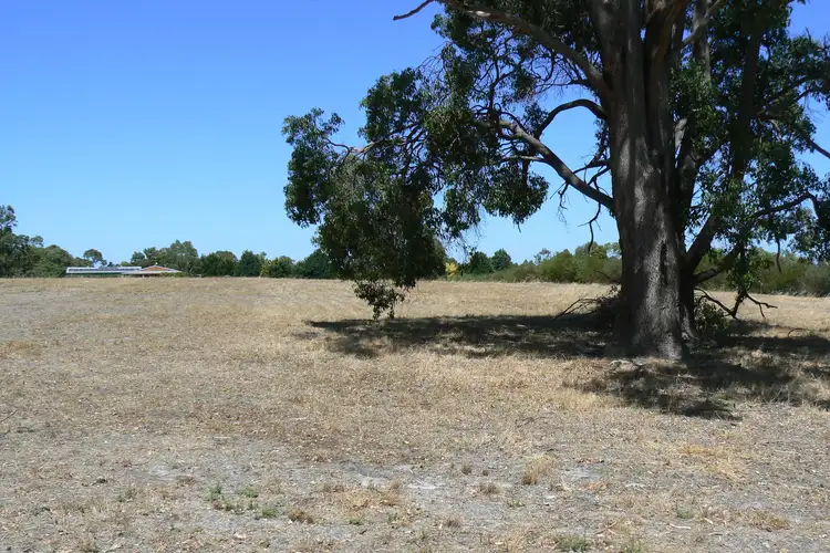 Seventh view of Homely rural property listing, LOT 816 Perseverance Boulevard, Argyle WA 6239