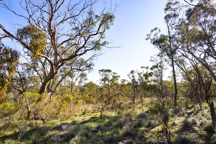 Fourth view of Homely land listing, 2640 Pyrenees Highway, Newstead VIC 3462