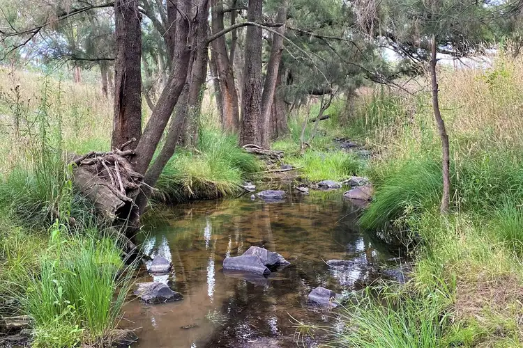 Second view of Homely rural property listing, LOT 12 & 45, 20 Quirks Loop, Stuart Town NSW 2820