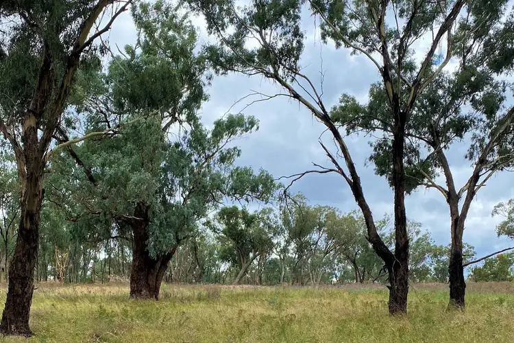 Third view of Homely rural property listing, LOT 12 & 45, 20 Quirks Loop, Stuart Town NSW 2820