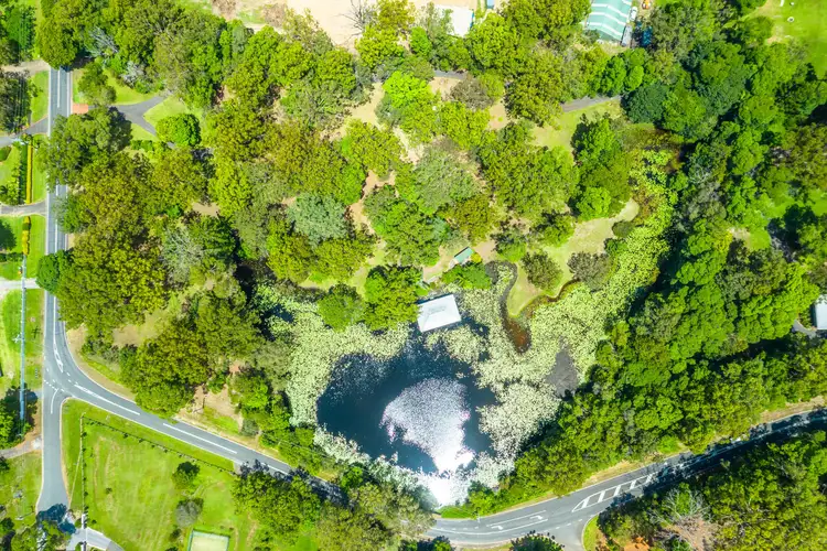 LOT 100, 44 Koombahla Drive, Tallebudgera QLD 4228