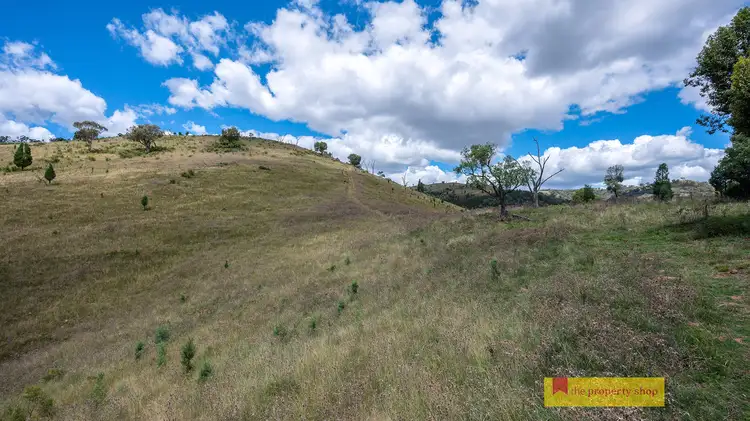 Fifth view of Homely rural property listing, 1251 Yarrabin Road, Mudgee NSW 2850