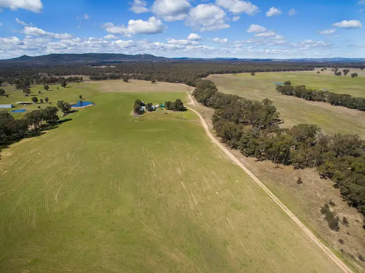 Third view of Homely rural property listing, 716 Spring Creek Road, Gulgong NSW 2852