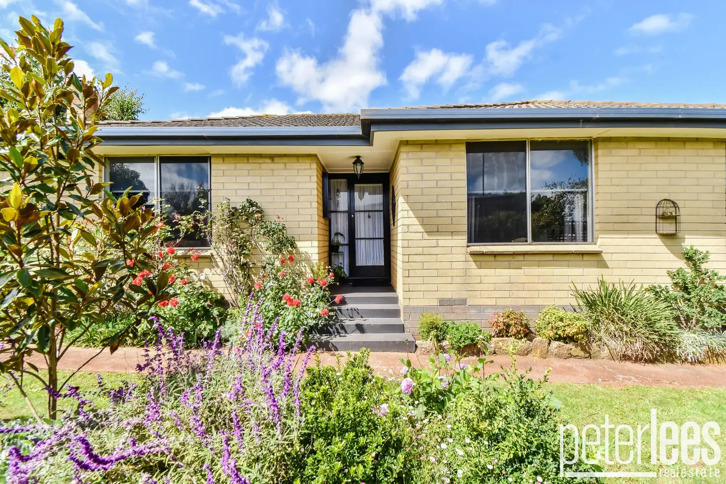 Main view of Homely house listing, 43 Spotswood Drive, Scottsdale TAS 7260