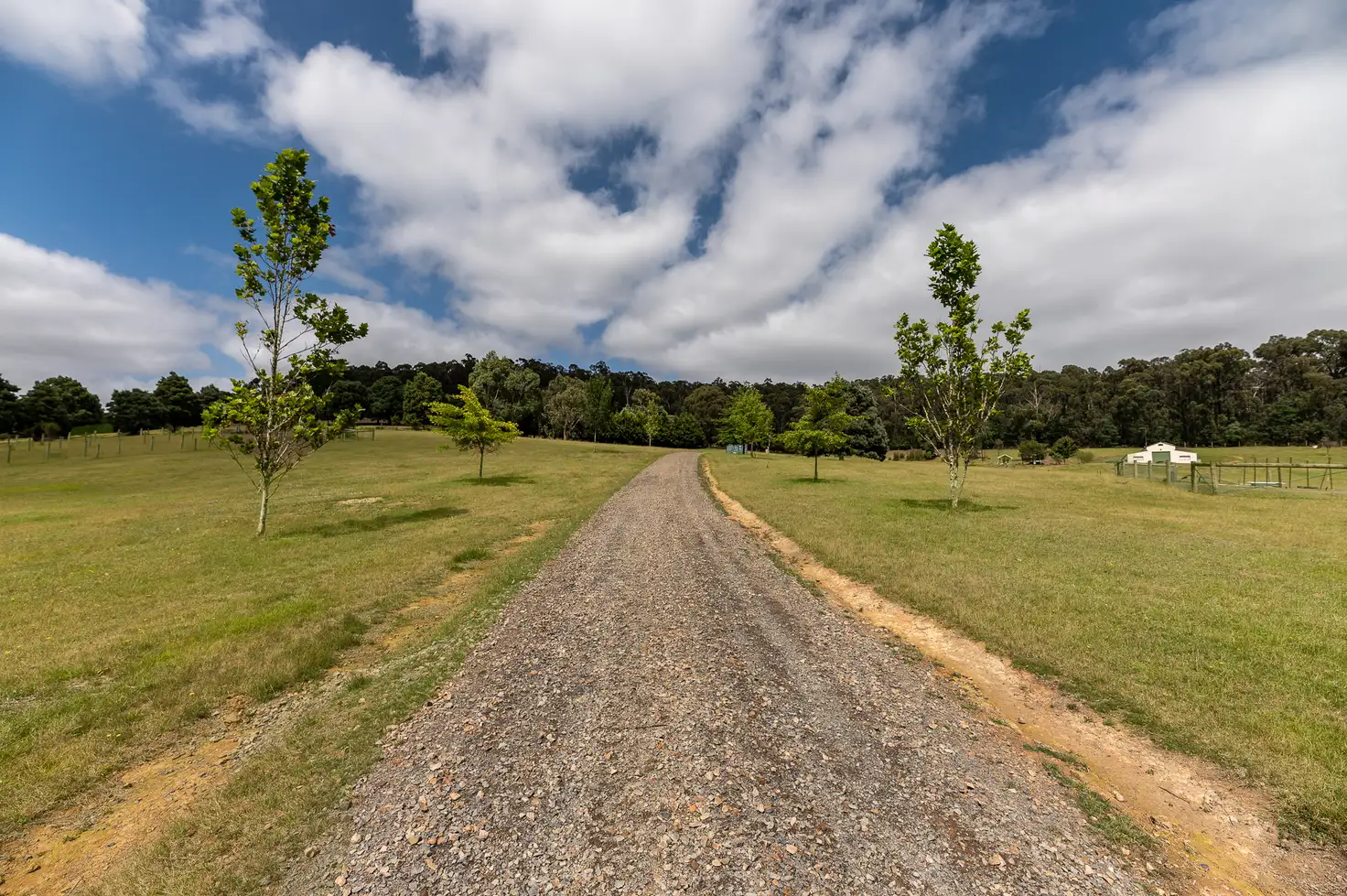 Main view of Homely rural property listing, 181 Gordons Bridge Road, Kinglake VIC 3763