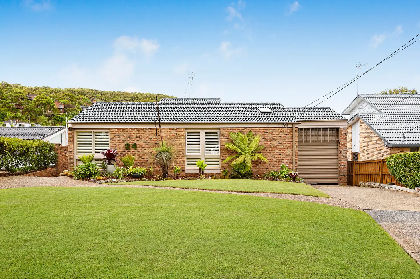 Main view of Homely house listing, 24 Northcott Road, Cromer NSW 2099