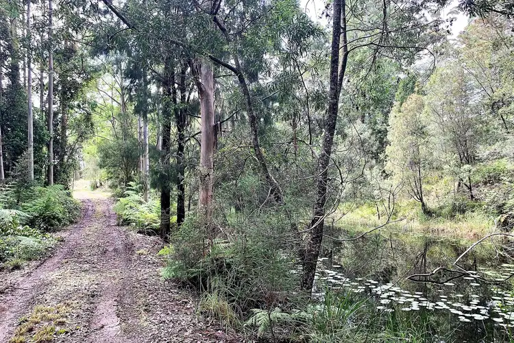 Third view of Homely land listing, LOT 12 Cradle Creek Road, Lowanna NSW 2450