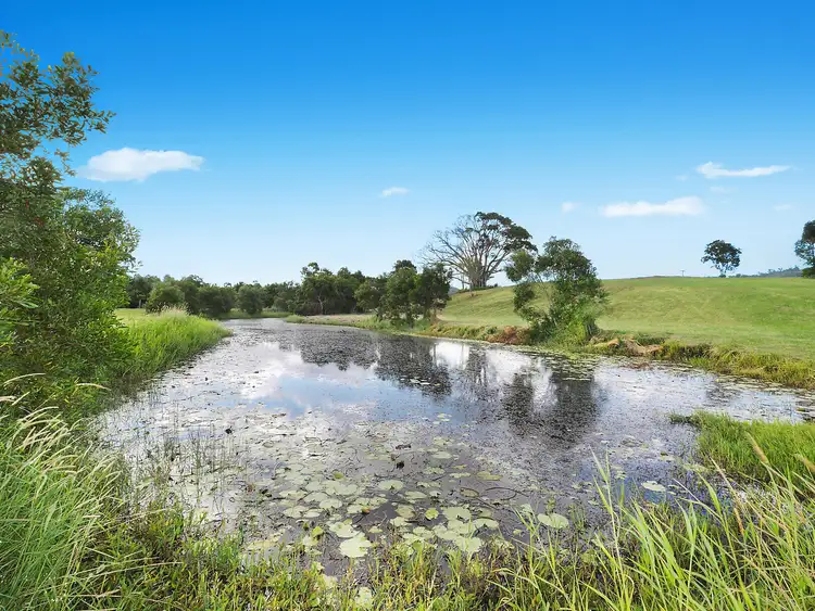 Second view of Homely rural property listing, 255 Toolborough Road, Yandina Creek QLD 4561