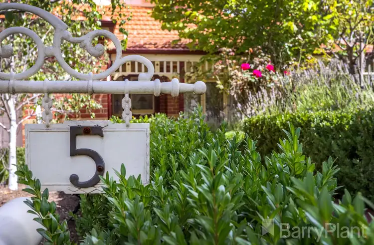 Third view of Homely house listing, 5 Threadneedle Street, Attwood VIC 3049