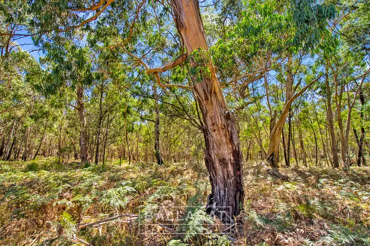 Fourth view of Homely land listing, 38 Progress Road, Dereel VIC 3352