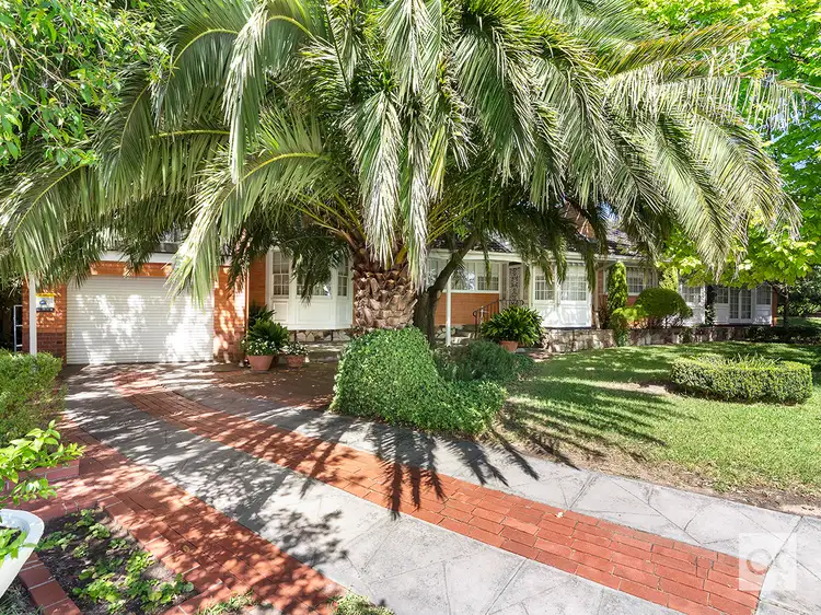 45 Linden Avenue, Hazelwood Park SA 5066