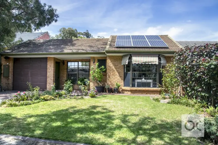 3A Montrose Avenue, Netherby SA 5062