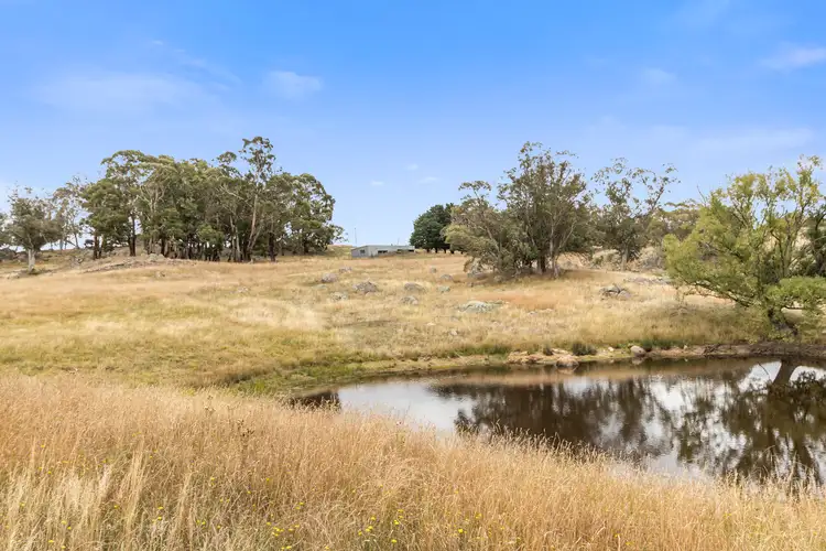 Fifth view of Homely rural property listing, 669 Kybeyan Road, Kybeyan NSW 2631