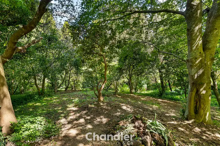 Second view of Homely house listing, 5 St Leonards Road, Selby VIC 3159