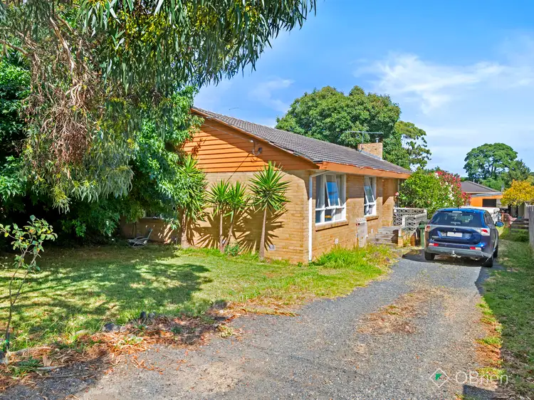 59 Screen Street, Frankston VIC 3199