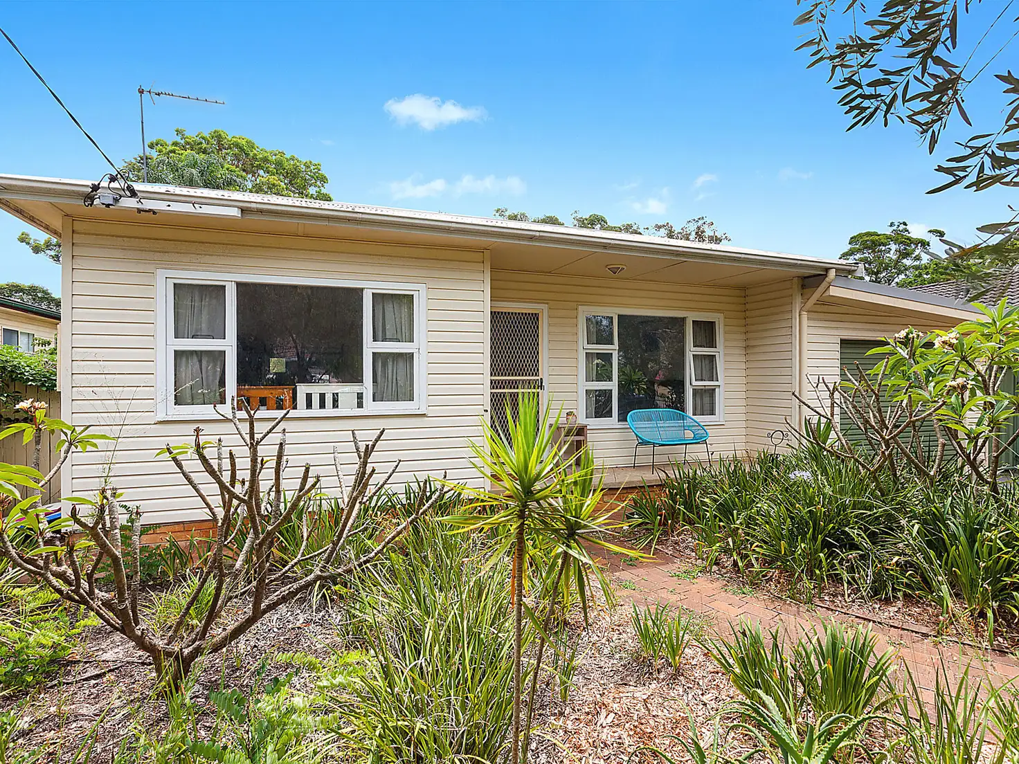 Main view of Homely house listing, 23 Springwood Street, Blackwall NSW 2256