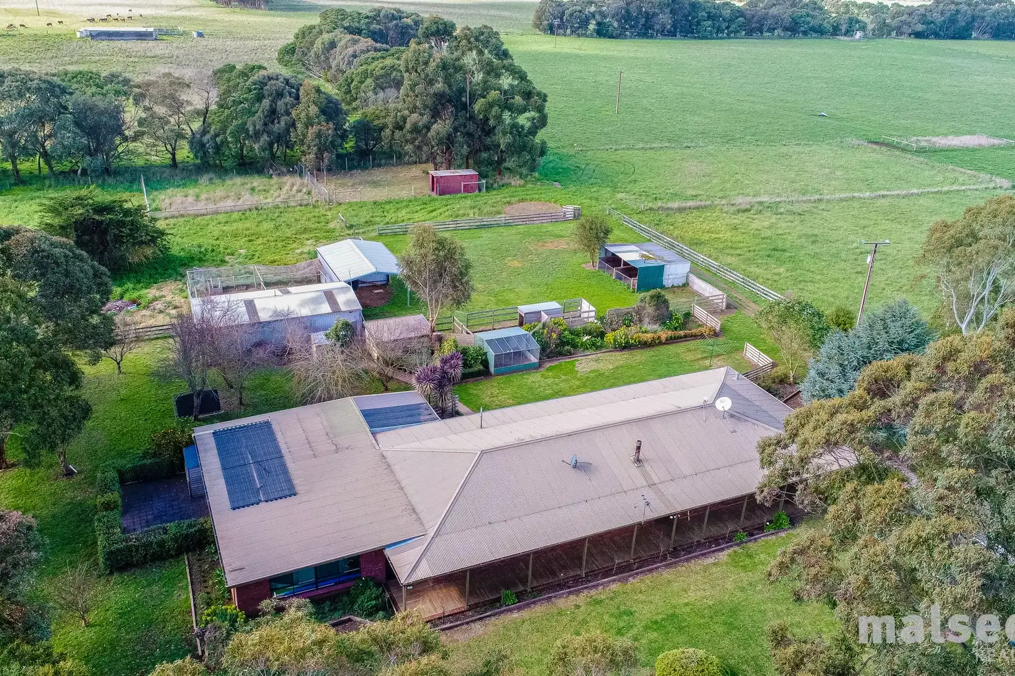 Main view of Homely house listing, 20165 Riddoch Highway, Mil Lel SA 5291