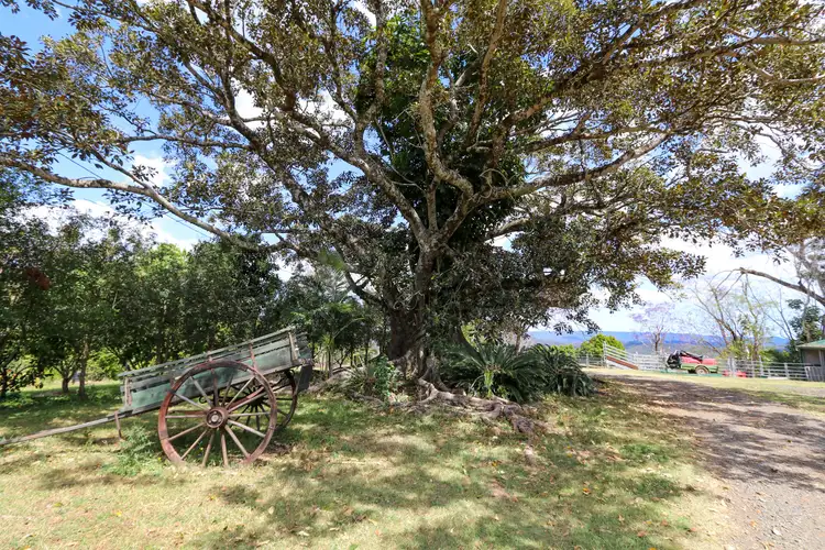 Third view of Homely rural property listing, 274 Koonorigan Road, Koonorigan NSW 2480
