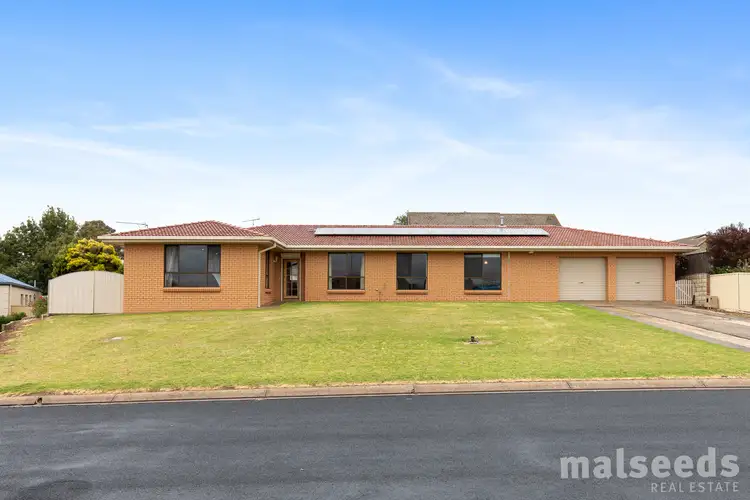Main view of Homely house listing, 14 Dalkeith Drive, Mount Gambier SA 5290