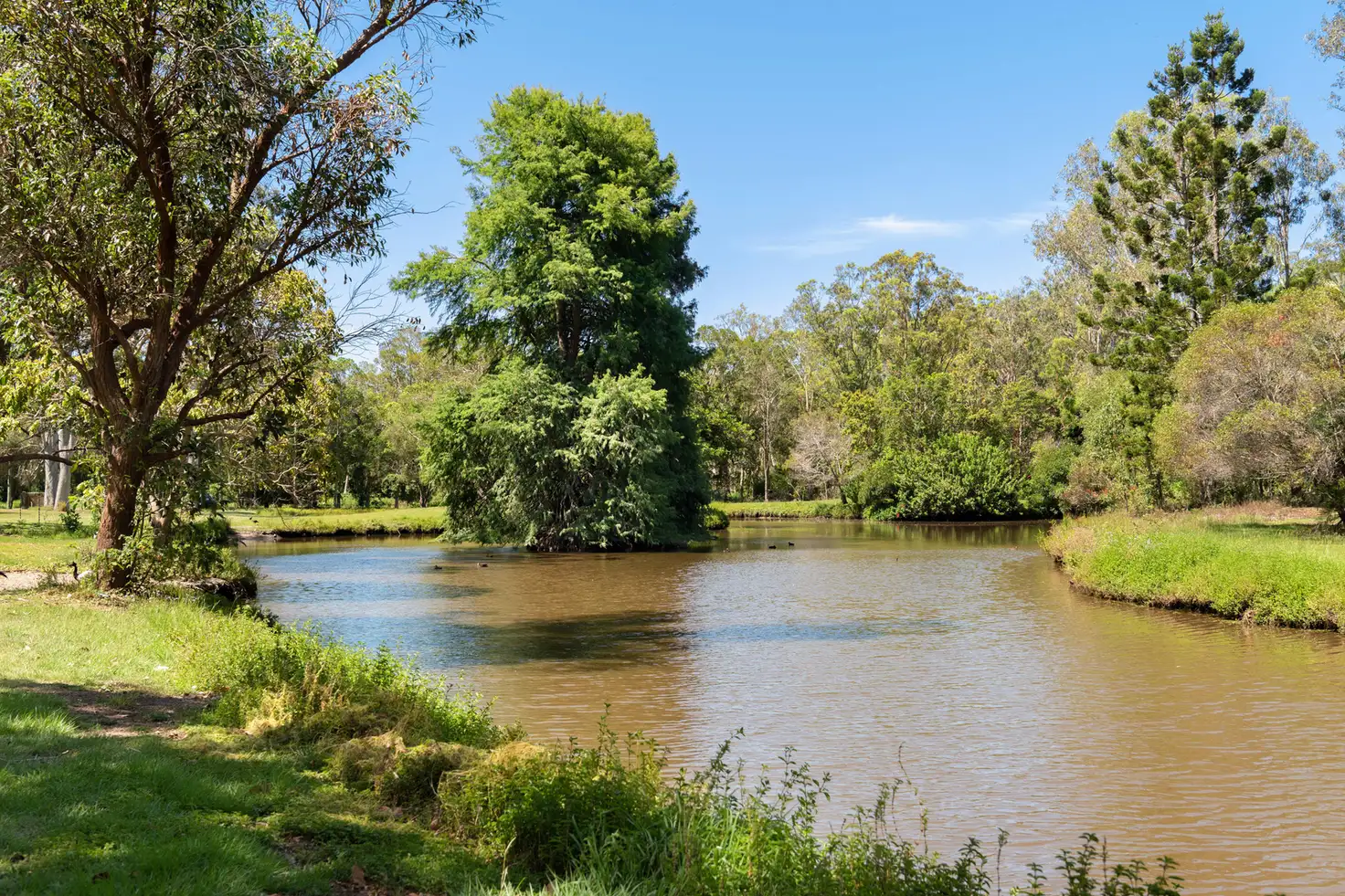 Main view of Homely house listing, 110 Ermelo Road, Belmont QLD 4153